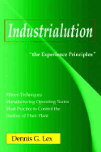 Industrialution: The Experience Principles