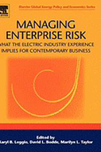 Managing Enterprise Risk: What The Electric Industry Experience Implies for Contemporary Business