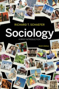 Sociology. A Brief Introduction 9ed