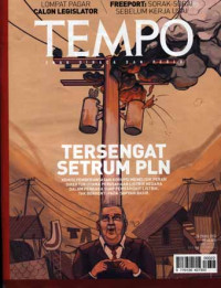 TEMPO : Tersengat Setrum PLN