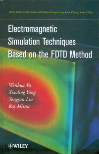 Electromagnetic Simulation Techniques Based on the FDTD Method