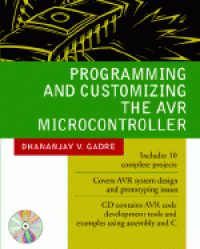 Programming and Customizing the AVR Microcontroller